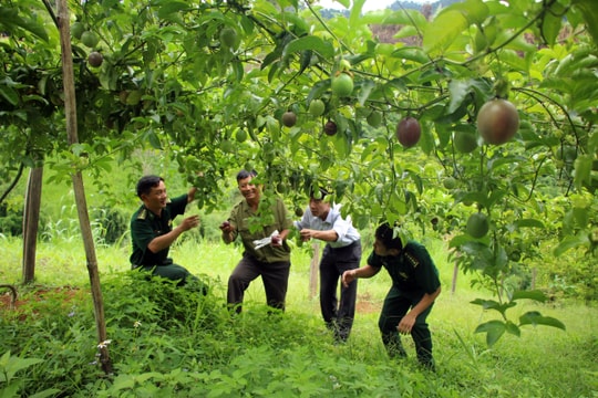 Báo Đảng khu vực miền Trung - Tây Nguyên đồng hành với nông dân thời kỳ hội nhập