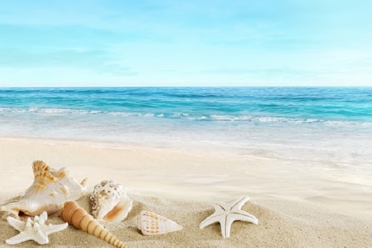 Những mầm bệnh tiềm ẩn từ cát biển không thể thờ ơ