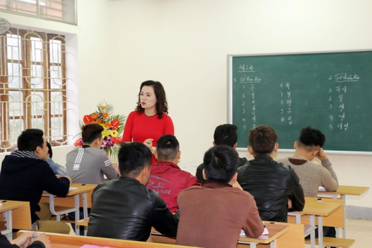 Chấn chỉnh 5 công ty dù không có giấy phép vẫn kinh doanh dịch vụ tư vấn du học