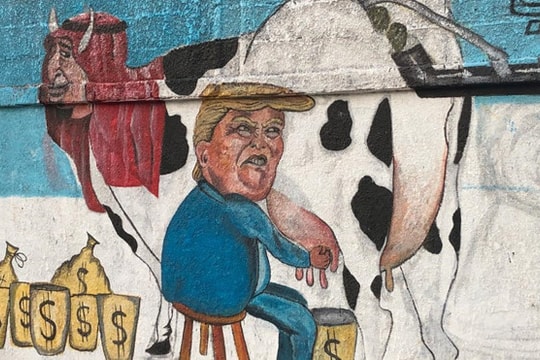 Trump “vắt sữa” vua Saudi trong tranh biếm họa về cuộc chiến Yemen