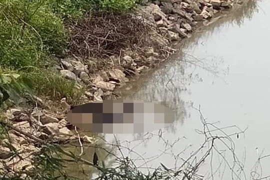 Nữ sinh lớp 9 ở Nghệ An nhảy hồ tự tử 