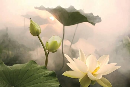 Ngôi chùa nào cho chúng ta?