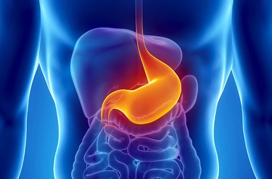 7 cơ quan nội tạng dù mất đi bạn vẫn có thể sống khỏe mạnh