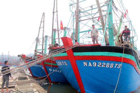 Hơn 1.540 tàu cá ở Nghệ An sẽ lắp đặt thiết bị giám sát hành trình
