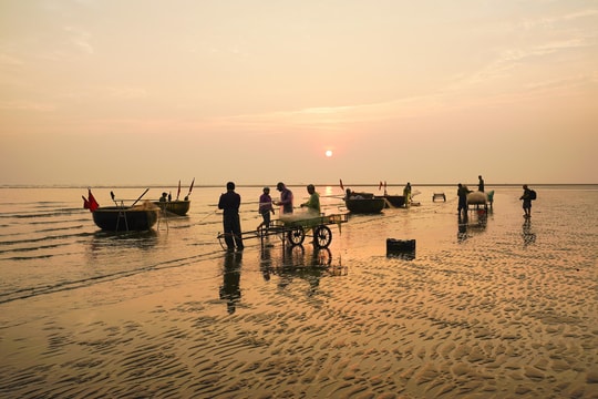 Rộn ràng Cửa Hội vào mùa đánh bắt cá trích