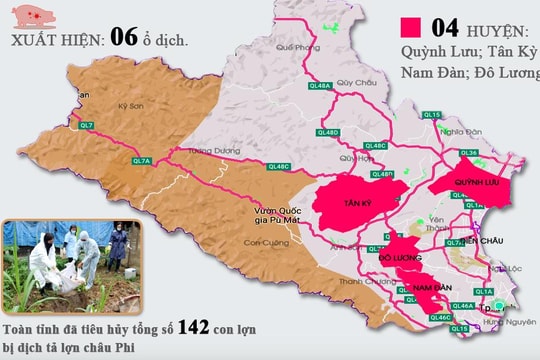 [Infographic] Diễn biến các ổ dịch tả lợn châu Phi tại Nghệ An