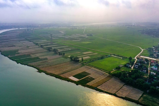 Bức tranh yên bình của đồng bãi xanh mướt bên dòng Lam