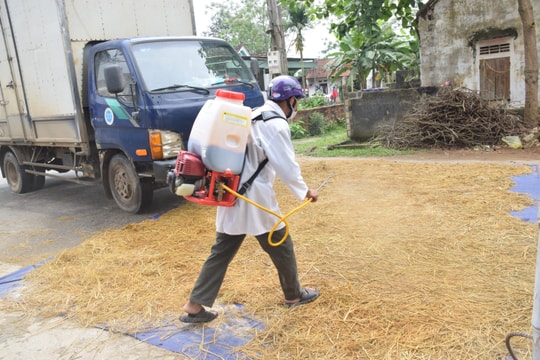 Tân Kỳ (Nghệ An) phát sinh ổ dịch tả lợn thứ 2