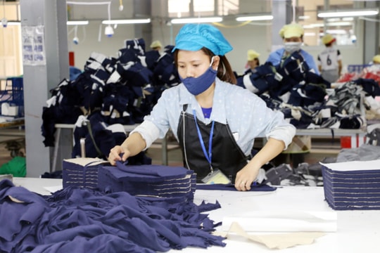 Nghệ An có gần 2.100 doanh nghiệp thuộc ngành, nghề nguy cơ cao về tai nạn lao động