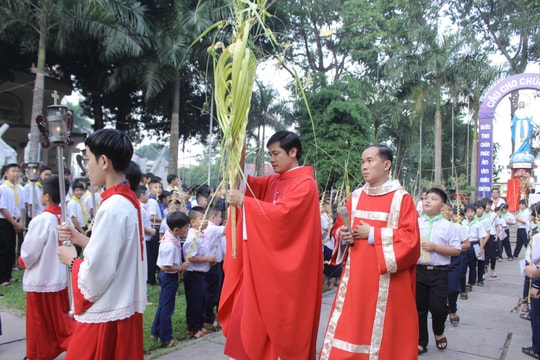 Ý nghĩa Chúa nhật Lễ Lá của Giáo hội Công giáo