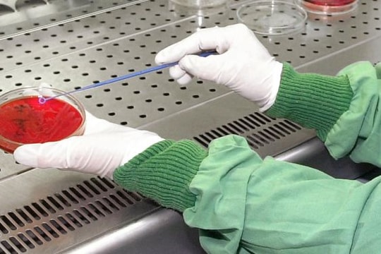 Nga phát hiện xúc xích nhập từ Trung Quốc chứa gen virus sốt heo châu Phi 