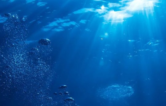 Tìm thấy vi sinh vật ăn dầu mỏ trong vũng Mariana