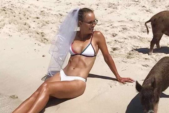 Người đẹp quần vợt mặc bikini chụp ảnh với lợn trên bãi biển