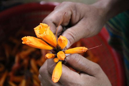 Món canh Đoọc Pít giải nhiệt nấu từ hoa của người dân vùng cao xứ Nghệ