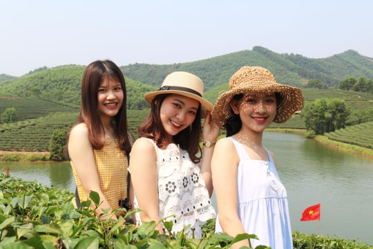 Hàng ngàn du khách đến đảo chè Nghệ An trong nắng nóng