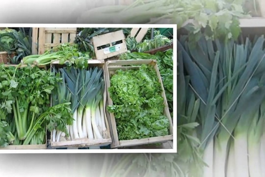 7 thực phẩm giúp mát gan, thải độc