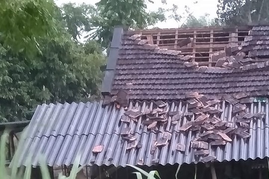 Lốc xoáy làm tốc mái nhà, cây xanh gãy đổ ở Nghệ An 