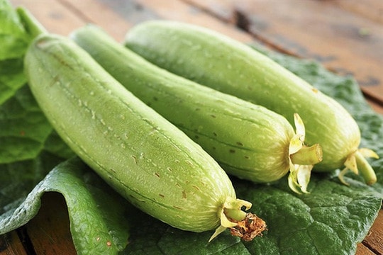 Nông dân Nam Đàn trồng mướp hương thu nhập khá