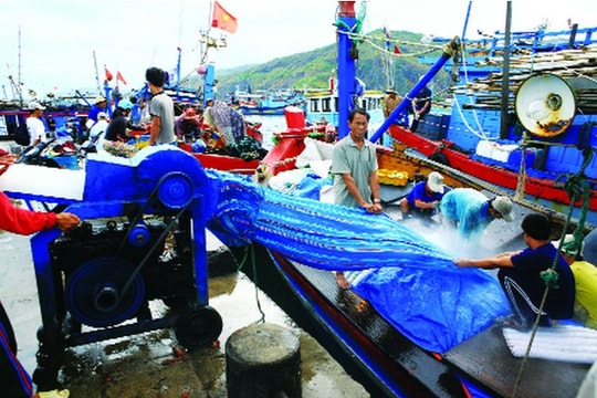 Đầu tư các dự án tại 4 tỉnh miền Trung sử dụng khoản tiền bồi thường của Formosa