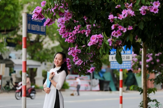 Tháng 5 xao xuyến những sắc hoa học trò trên phố Vinh