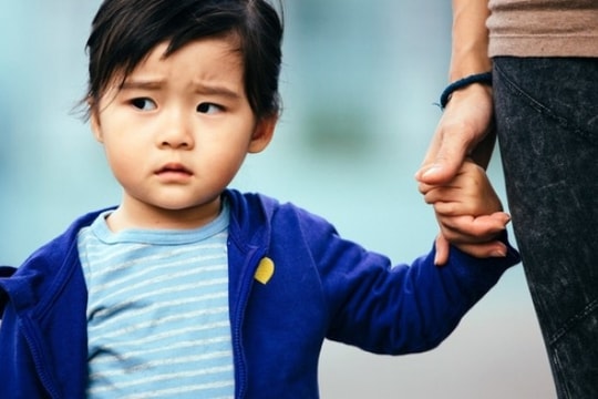 Quả ngọt, quả thối