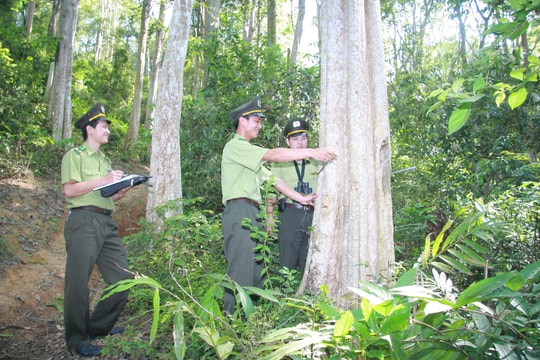Nghệ An sẽ sáp nhập 8 hạt kiểm lâm thành 4 hạt kiểm lâm liên huyện