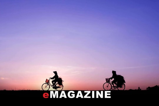 Thân thương một bóng đê làng