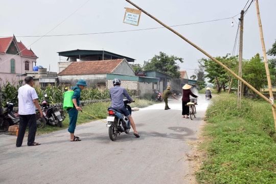 Diễn Châu xuất hiện thêm một ổ dịch tả lợn châu Phi  