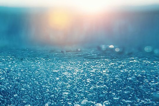 Phát hiện vi sinh vật sống được nhờ… 'thạch tín' ở Thái Bình Dương