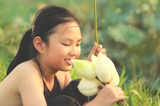 Về với mùa sen xứ Nghệ, tháng Năm này