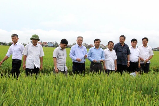 Tổng Công ty CP Vật tư nông nghiệp Nghệ An: Nỗ lực khẳng định thương hiệu