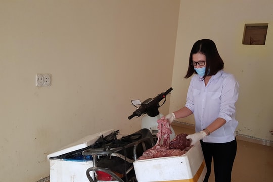 Vận chuyển 70kg nội tạng lợn không kiểm dịch đi tiêu thụ