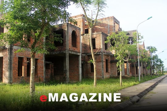 Khi nhà đầu tư 'lướt sóng' chính sách