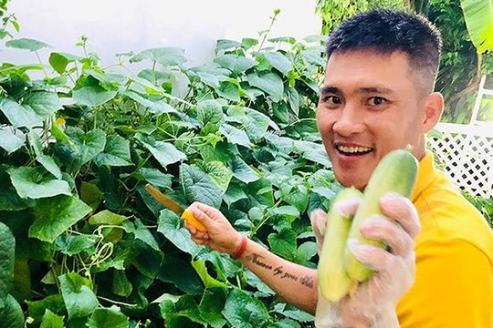 Công Vinh rao bán dưa chuột trên facebook