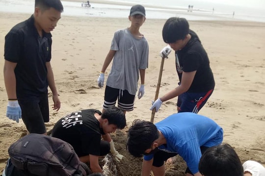 Tình nguyện viên Pháp cùng học sinh chung tay làm sạch bãi biển Cửa Lò