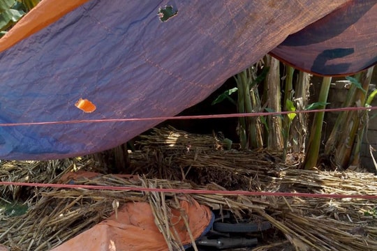 Nóng: Điều tra nghi án 1 người bị cứa cổ nguy kịch, 1 người tử vong ở Nghệ An