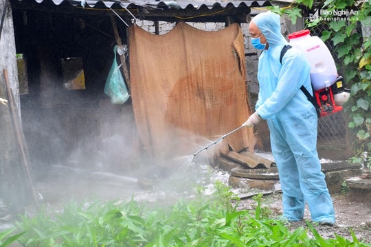  Xử lý nghiêm tổ chức, cá nhân vi phạm trong phòng chống dịch tả lợn châu Phi