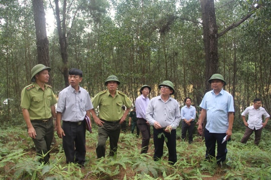 Xây dựng đường băng cản lửa dài 24km vùng giáp ranh Nghệ An - Hà Tĩnh