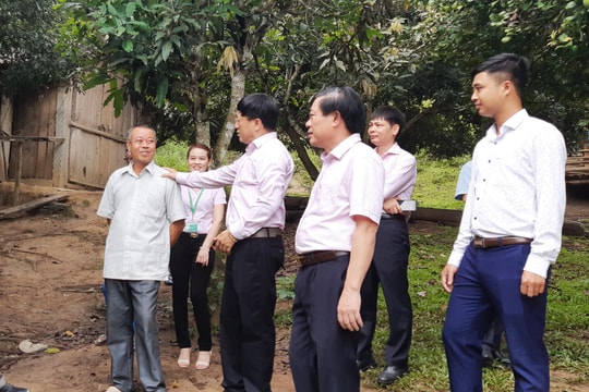 Quý I, gần 20.000 đối tượng ở Nghệ An được vay vốn chính sách