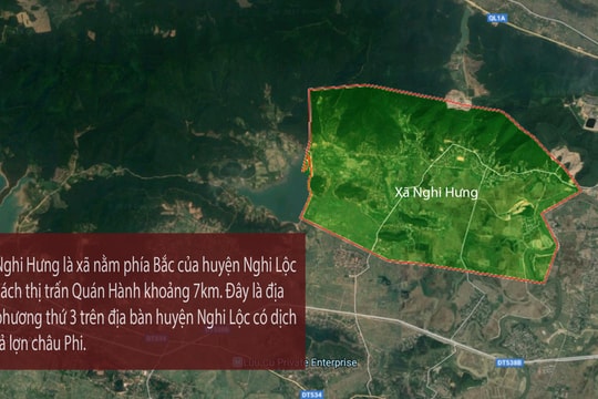 Lợn tiếp tục ốm chết tại ổ dịch xã Nghi Hưng (Nghi Lộc)