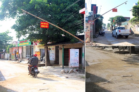 Nhiều địa phương ở Nghệ An vẫn chủ quan trong phòng chống dịch tả lợn châu Phi