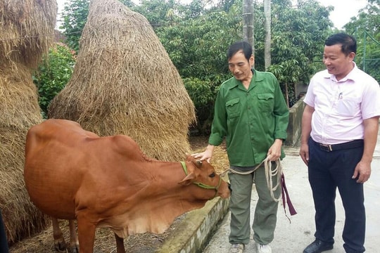 Nguồn vốn chính sách giúp người dân Nam Đàn phát triển kinh tế