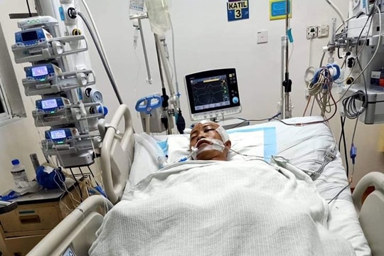 Một lao động Nghệ An nguy kịch tại Malaysia do cây đổ trúng người