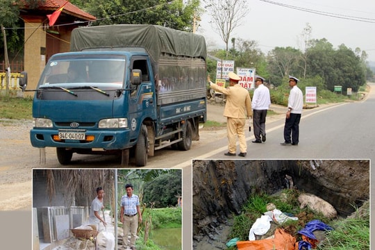 Phó Giám đốc Sở NN và PTNT Nghệ An: Dịch tả lợn châu Phi tiếp tục diễn biến khó lường