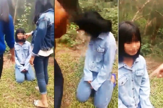 Bạo lực học đường: Do thực thi luật không nghiêm, gia đình thả nổi