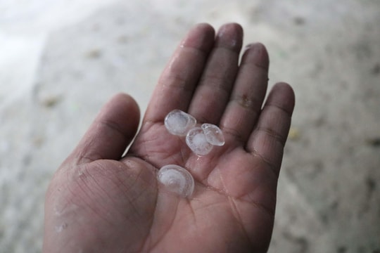 Mưa đá, lốc bất ngờ làm hư hại nhà dân, gãy đổ cây cối ở miền Tây Nghệ An 