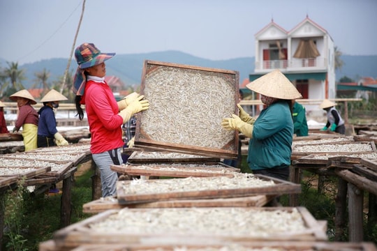 Người dân Nghệ An mưu sinh dưới trời 'đổ lửa'