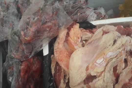  Bắt 265 kg sản phẩm động vật bốc mùi hôi đi qua địa bàn Nghệ An