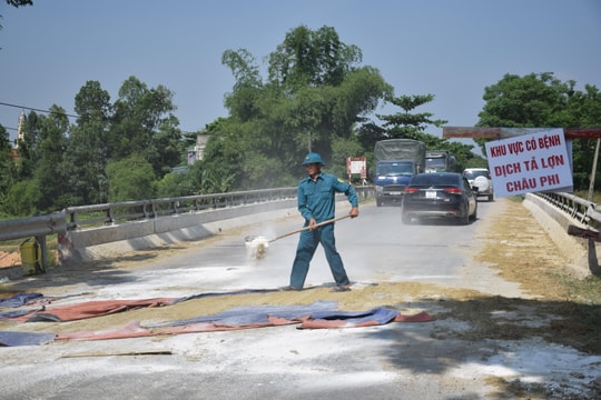 Ban Bí thư Trung ương Đảng chỉ thị tăng cường phòng chống dịch tả lợn châu Phi