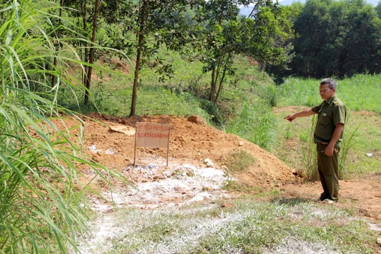 Huyện Quỳ Châu (Nghệ An) công bố hết dịch tả lợn châu Phi 